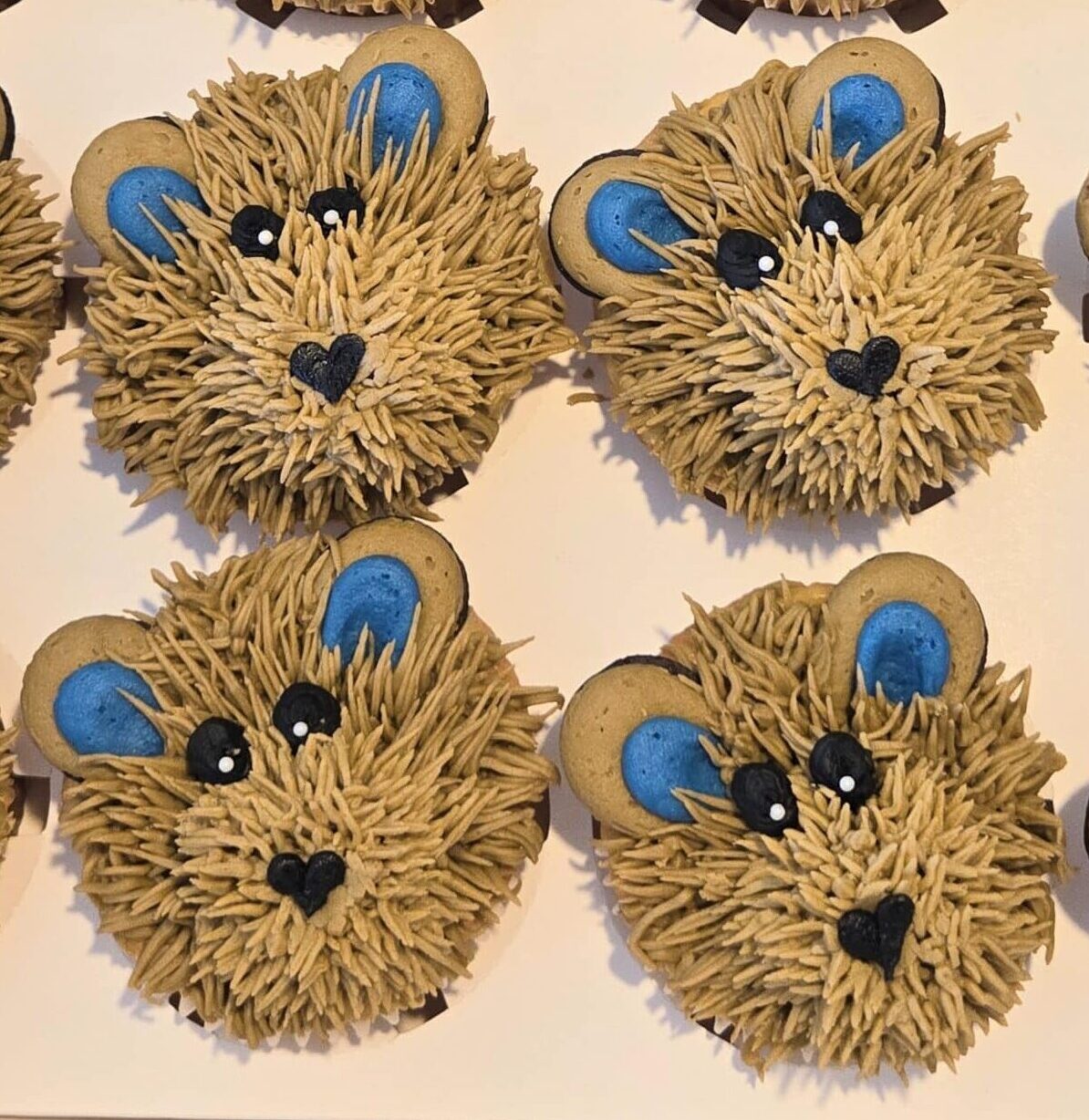 Teddy bear cupcakes with blue ears in a box.